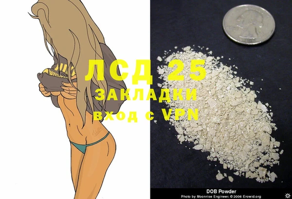 стаф Богородицк