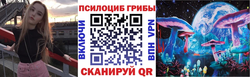 даркнет сайт  Славгород  Галлюциногенные грибы MAGIC MUSHROOMS 