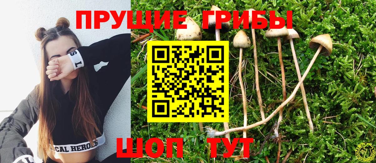 Псилоцибиновые грибы Magic Shrooms  Вход с VPN  Славгород 